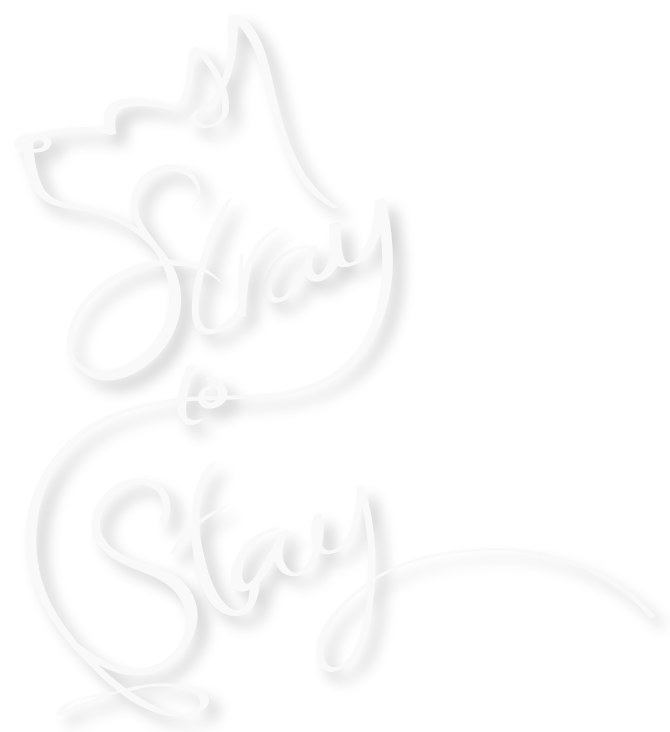 Stray To Stay Logo Outline