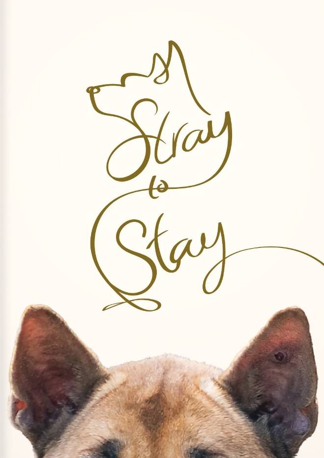 Stray To Stay Pdf Thumb