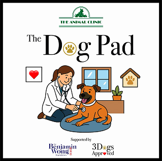Dog Pad