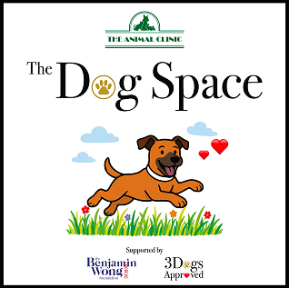Dog Space